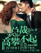 《名門罪妻,總裁高攀不起》