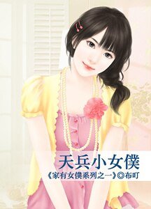 天兵小女仆(家有女仆之一)