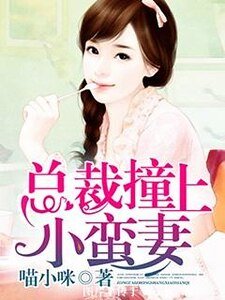 《总裁撞上小蛮妻》
