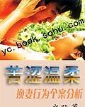 《苦涩温柔:换 妻行为个案分析》