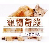 《寵物奇緣(渣攻小白受)》