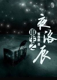 《重生之夜洛辰》