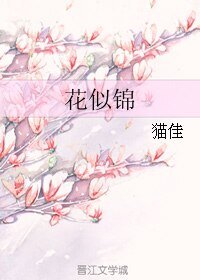 《花似锦》