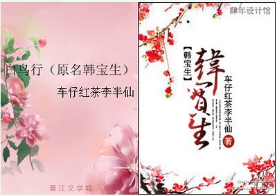 《白鸟行/韩宝生》