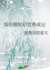 《(银魂同人)坂田银时后宫养成记》