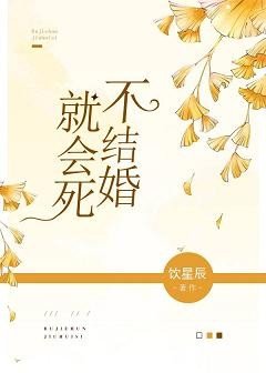 《不结婚就会死》