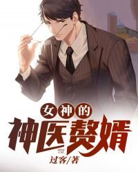 《女神的神医赘婿》