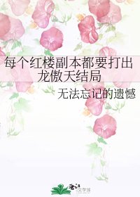《(红楼同人)每个红楼副本都要打出龙傲天结局》