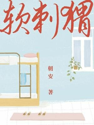 《軟刺蝟》