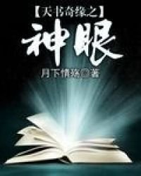 《天书奇缘之神眼》