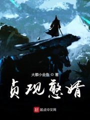 《贞观憨婿》