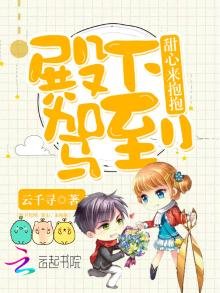 《殿下驾到:甜心,来抱抱》