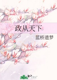 《政从天下》