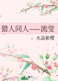 猎人同人——流莹