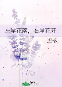 《左岸花落,右岸花开》