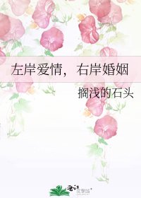 《左岸爱情,右岸婚姻》