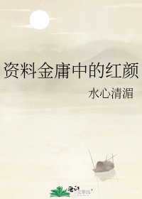 《资料金庸中的红颜》