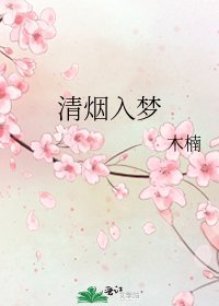 《清烟入梦》