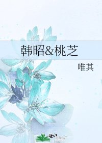 《韩昭&桃芝》