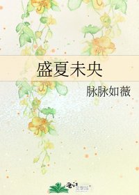 《盛夏未央》
