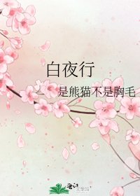 《白夜行》