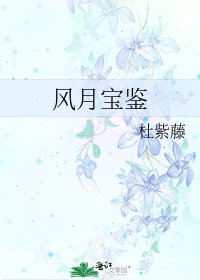 《风月宝鉴》