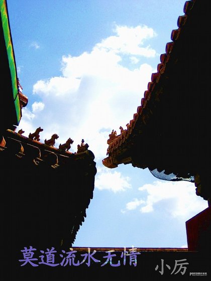 《莫道流水无情》