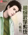 《超级武学系统》