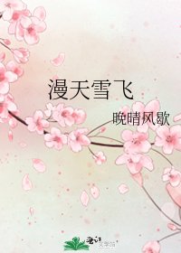 《漫天雪飞》