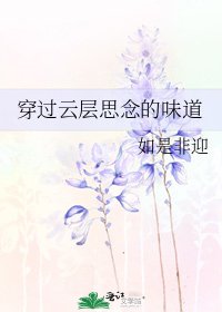 《穿过云层思念的味道》