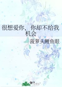 很想愛你,你卻不給我機會
