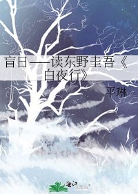 《白夜行》