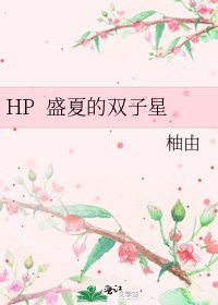 HP 盛夏的双子星