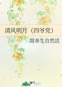 《清风明月(四爷党)》