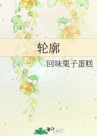 《轮廓》