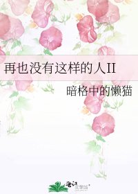 《再也没有这样的人II》