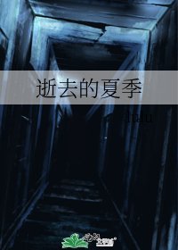 逝去的夏季
