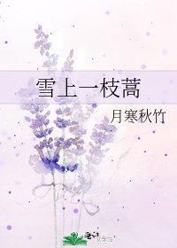 《雪上一枝蒿》