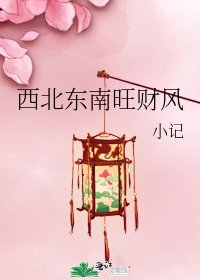《西北东南旺财风》