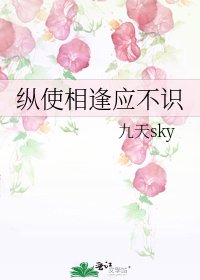 《纵使相逢应不识》