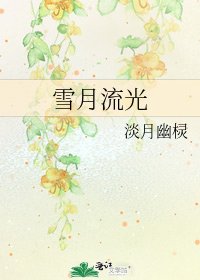 《雪月流光》