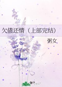 《欠债还情(上部)》