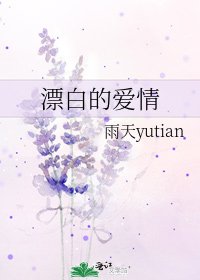 漂白的爱情