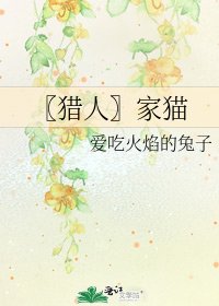 〖猎人〗家猫