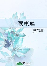 《一夜重莲》