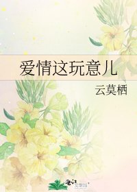 爱情这玩意儿