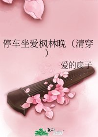 《停车坐爱枫林晚(清穿)》