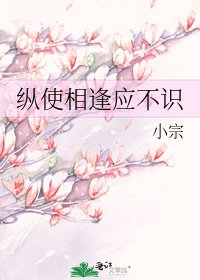 《纵使相逢应不识》