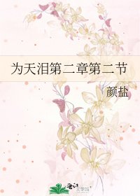 《为天泪第二章第二节》