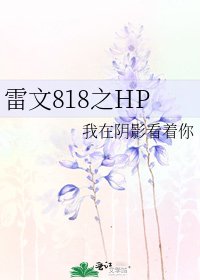雷文818之HP